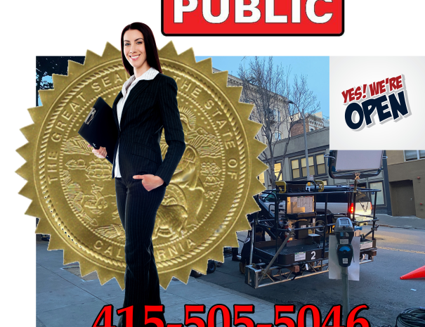 SF NOTARY PUBLIC 24:7301